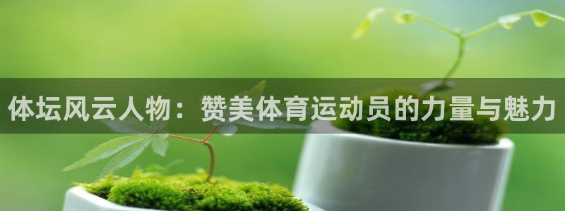 3377体育app官网下载地址