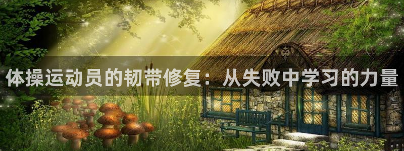 3377体育官网下载
