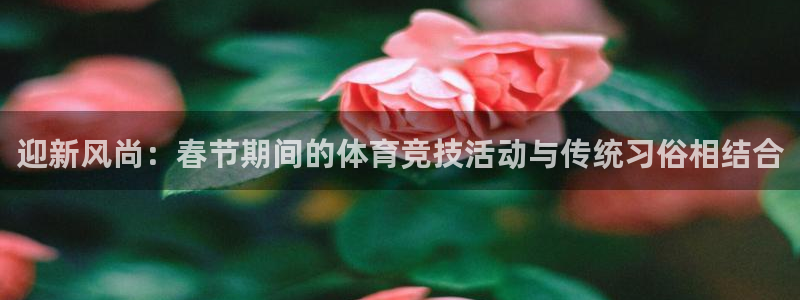 3377体育手机平台：迎新风尚：春节期间的体育竞技活动与传统习俗相结合