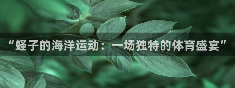 3377体育是正规平台吗：“蛏子的海洋运动：一场独特的体育盛宴”