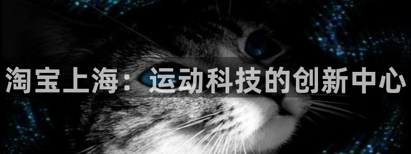 3377体育官方app下载：淘宝上海：运动科技的创新中心