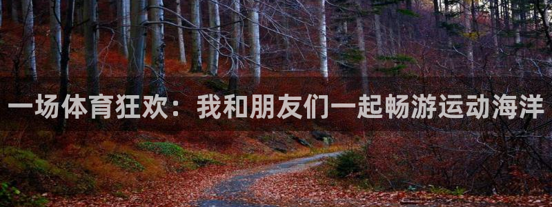 3377体育官网入口网页版：一场体育狂欢：我和朋友们一起畅游运动海洋
