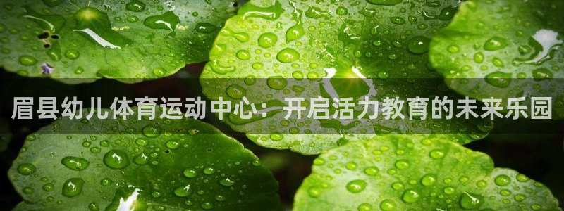 3377体育官网入口网页版：眉县幼儿体育运动中心：开启活力教育的未来乐园