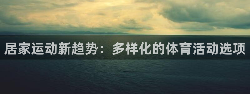 3377体育全网：居家运动新趋势：多样化的体育活动选项