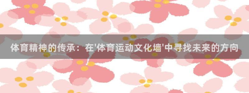 3377体育手机平台：体育精神的传承：在\'体育运动文化墙\'中寻找未来的方向