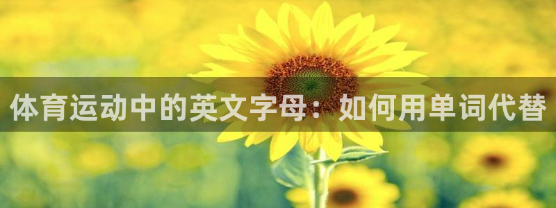 3377体育官网：体育运动中的英文字母：如何用单词代替